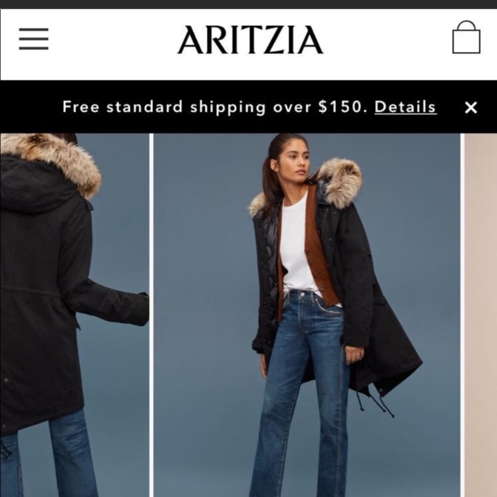Aritzia Community Parka